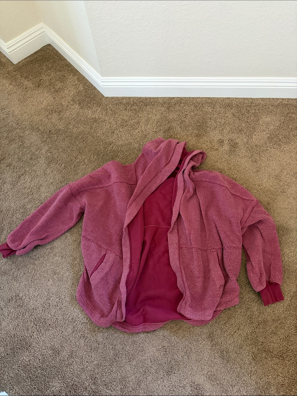 Free People Sherpa Hoodie